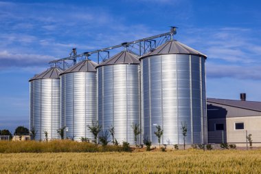 Four silver silos in corn field clipart