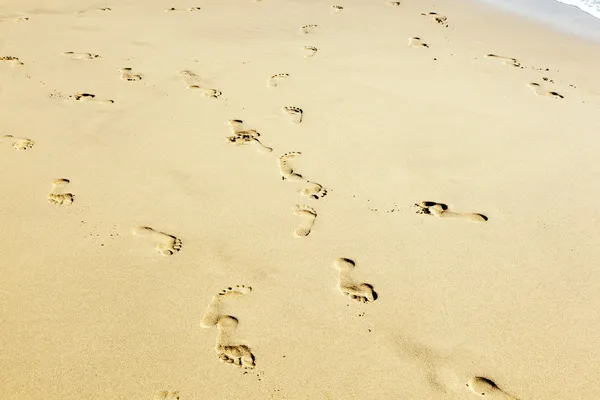 Menselijke voetstappen op het schone zandstrand — Stockfoto