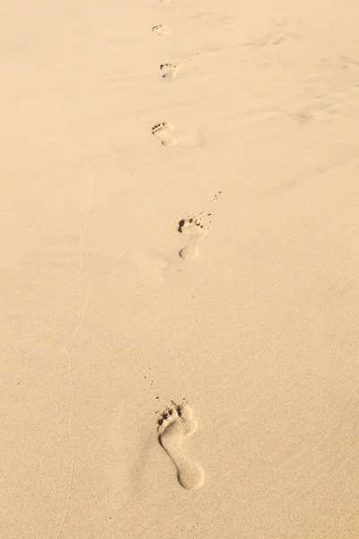 Ludzkie kroki na czystej, piaszczystej plaży — Zdjęcie stockowe