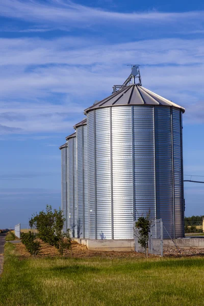 Cuatro silos de plata en el campo de maíz — Foto de Stock