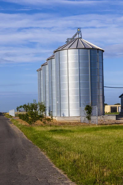 Quatre silos en argent dans le champ de maïs — Photo