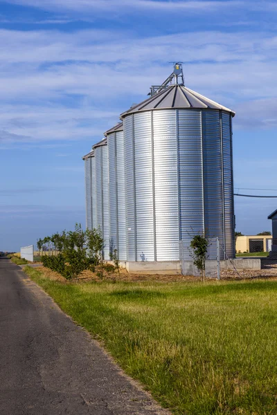 Four silver silos in corn field — Stock Photo, Image