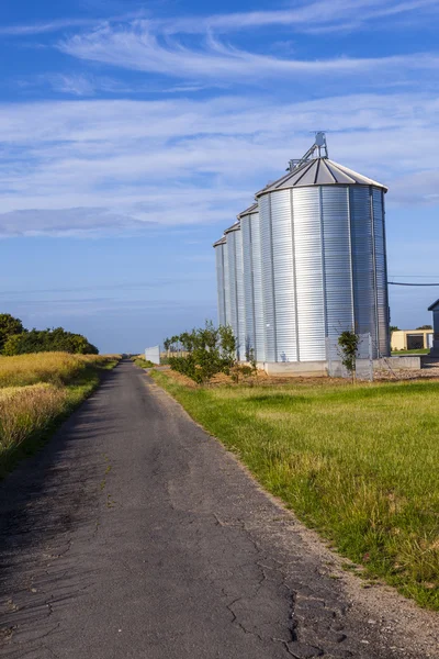Four silver silos in corn field — Stock Photo, Image
