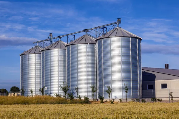 Quatro silos de prata no campo de milho — Fotografia de Stock