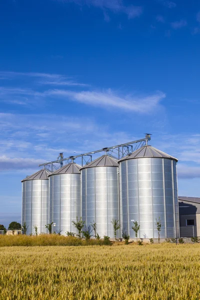 Quatro silos de prata no campo de milho — Fotografia de Stock