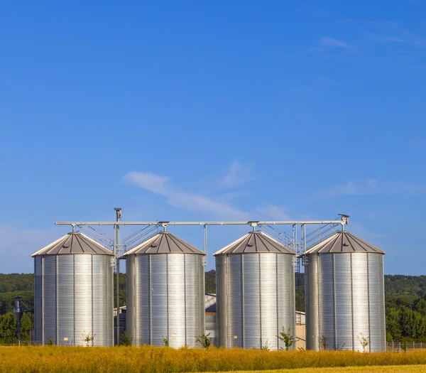 Quatro silos de prata no campo de milho — Fotografia de Stock