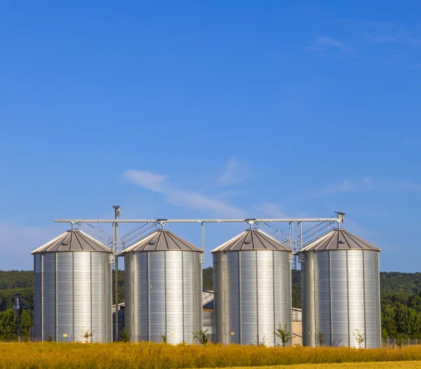 Four silver silos in corn field — Stock Photo, Image