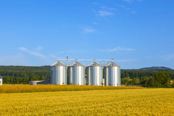 Quattro silos d'argento nel campo di mais — Foto Stock