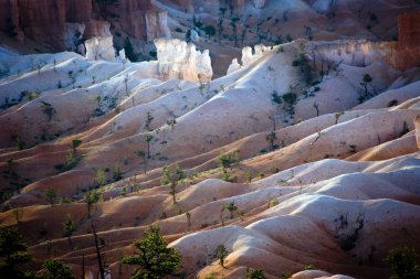 Bryce canyon hoodoos içinde güneşin ilk ışınları