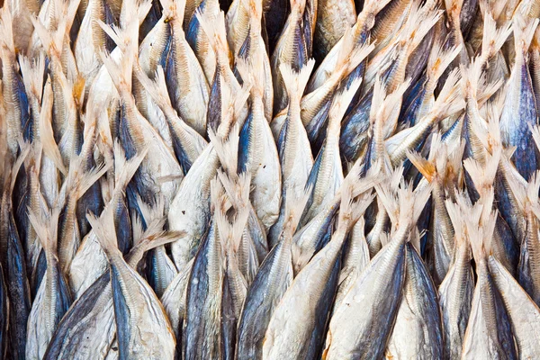 Stockfish no mercado — Fotografia de Stock