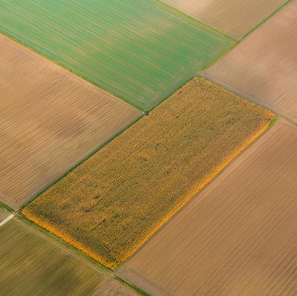 Paisagem rural com acre de balão de ar quente em Frankfurt — Fotografia de Stock