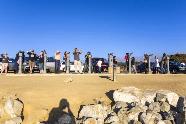 Turister tittar på den berömda seal rock nära point lobos — Stockfoto