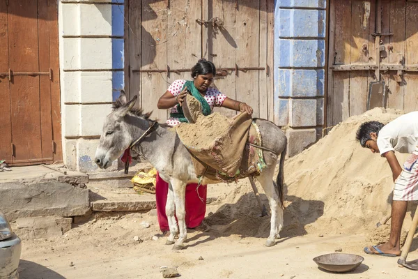 Donkeys are used to transport heavy goods up to the construction — Stock Photo, Image