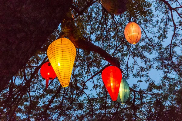 Lampignons i blå himmel — Stockfoto