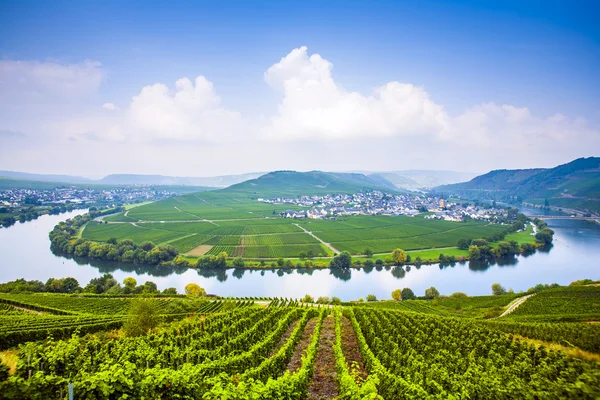 Famous Moselle Sinuosity with vineyards — Stock Photo, Image