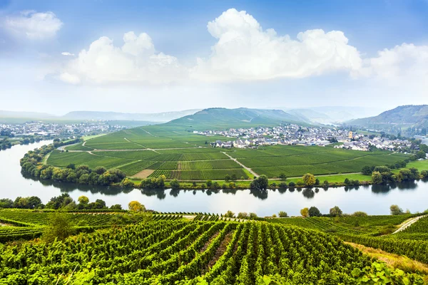 Famous Moselle Sinuosity with vineyards — Stock Photo, Image