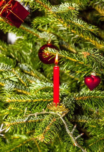 Julgran med ljus — Stockfoto