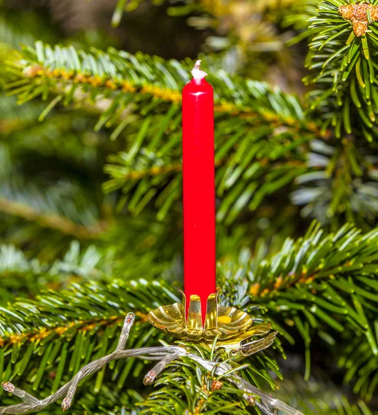 Arbre de Noël avec bougies — Photo