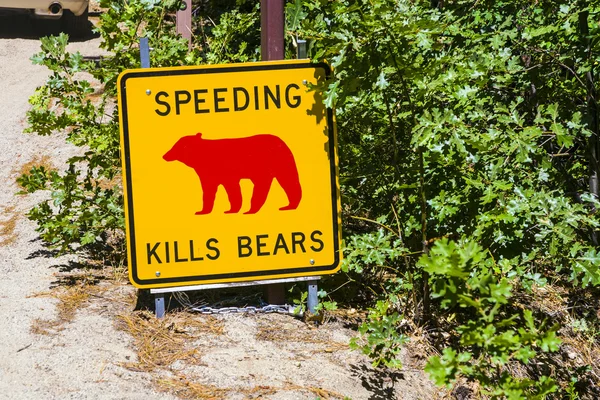 Peligro signo, exceso de velocidad mata osos — Foto de Stock