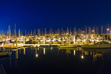 Rüzgarsız Monterey limanında yelkenli tekneler.