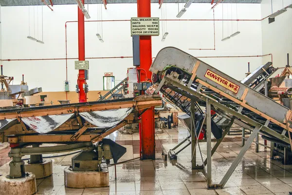 Inside a Tea factory — Stock Photo, Image