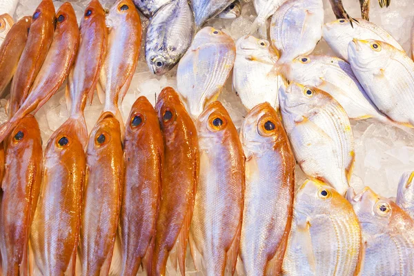 El pescado en el mercado — Foto de Stock