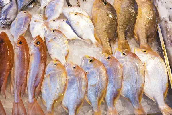 El pescado en el mercado —  Fotos de Stock