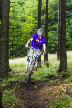 yokuş aşağı motorcu atlar ormandaki bir rampa üzerinde