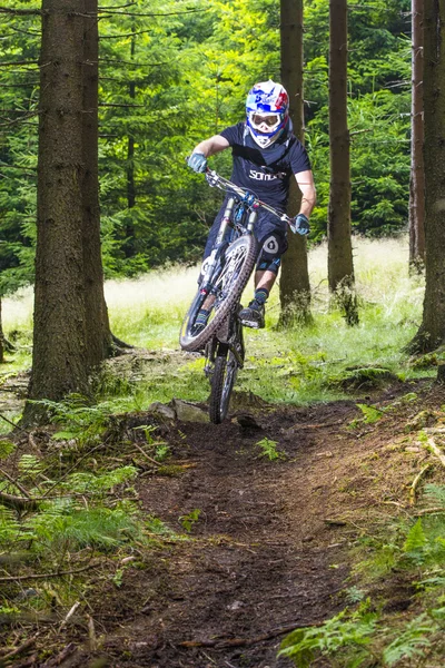 Downhill-Biker springt im Wald über eine Rampe — Stockfoto