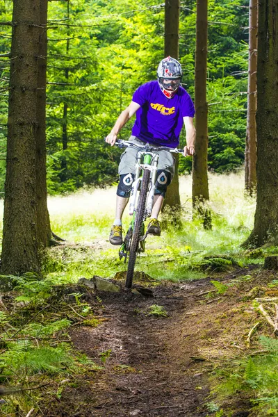 Downhill motociclista pula sobre uma rampa na floresta — Fotografia de Stock