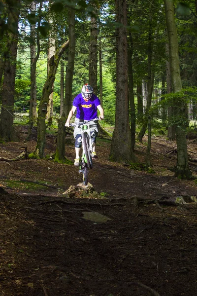 Downhill rowerzysta skacze na ziemi w lesie — Zdjęcie stockowe
