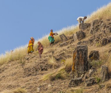 Kes kadın çayır ve Mısır