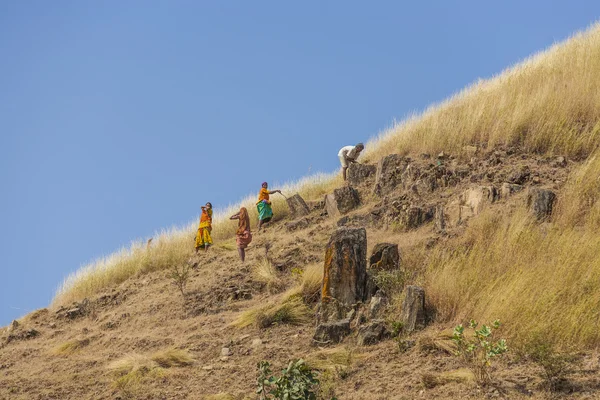 Kes kadın çayır ve Mısır