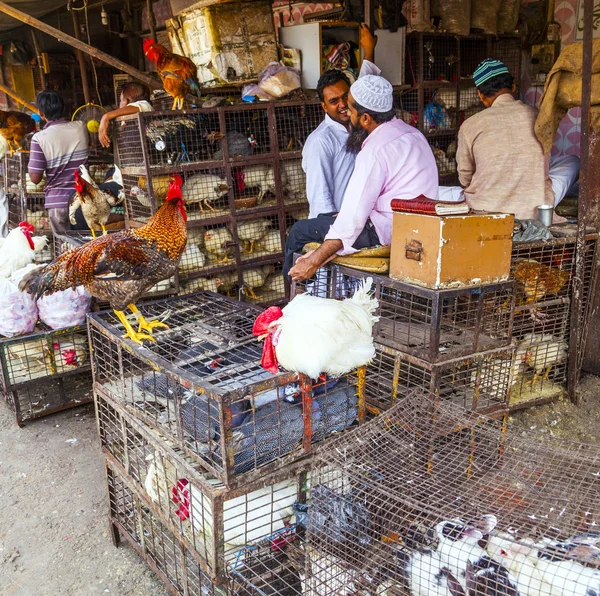 Indian men sell their chicken and cocks