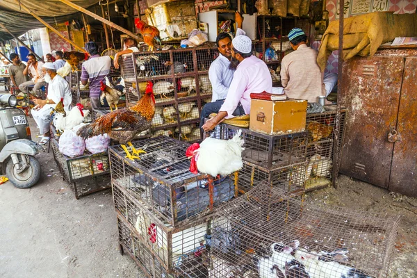 Indian men sell their chicken and cocks — Stock Photo, Image