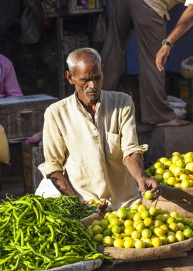 Delhi, Hindistan chawri bazar, sebze satan adam