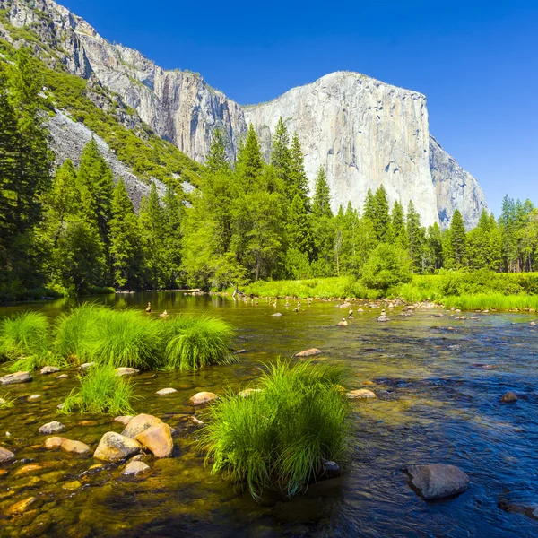 Merced River im Yosemite Nationalpark — Stockfoto