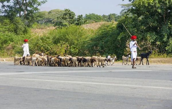 Um cabras tribais Rajasthani vestindo tradicional colorido vermelho tu — Fotografia de Stock