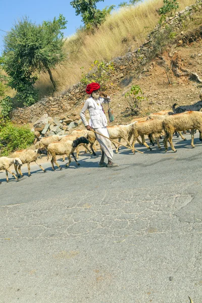 身穿传统多彩红杜拉贾斯坦部落牧羊人 — 图库照片