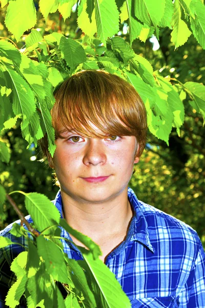 Portrait of cute boy in leaves — Stock Photo, Image