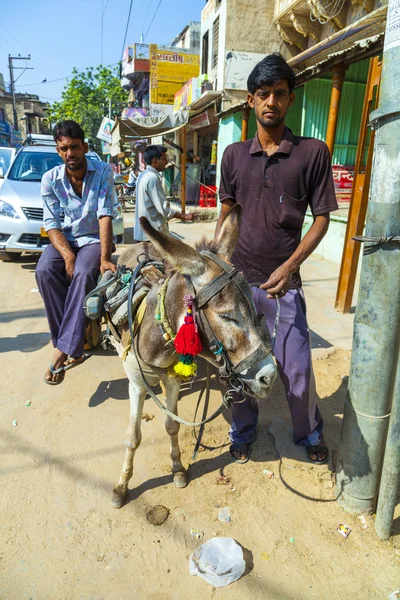 Burro con carro de alquiler — Foto de Stock