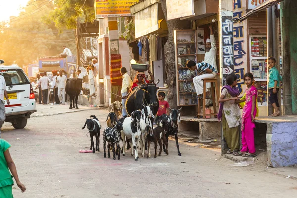 Femme avec bœuf et ses chèvres passent la vieille rue du bazar — Photo