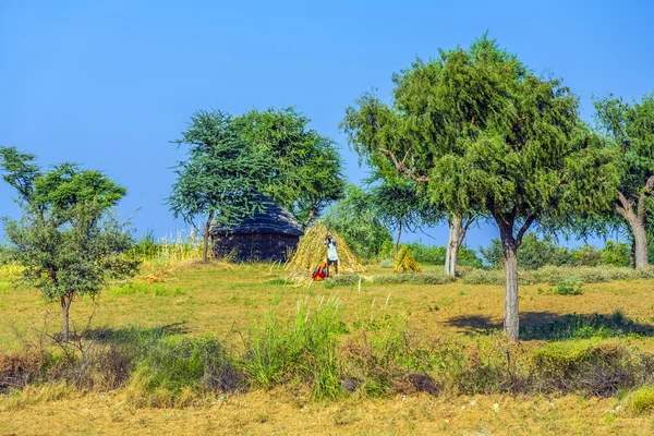 Un operaio agricolo costruisce una nuova costruzione di balle di paglia — Foto Stock