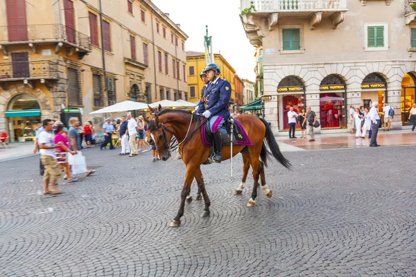 Policías con caballos observan el paisaje en la entrada de la — Foto de Stock