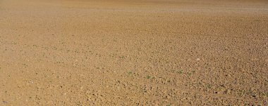 Ekim önce plough tarım alanı