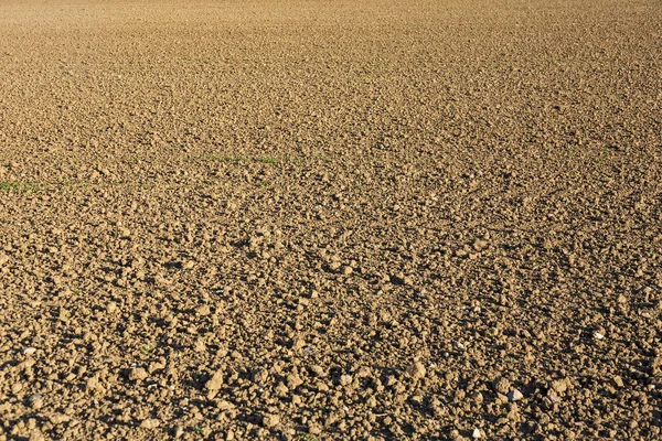 Campo agrícola de arado antes da semeadura — Fotografia de Stock