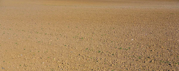 Plough landbouw veld vóór de inzaai — Stockfoto