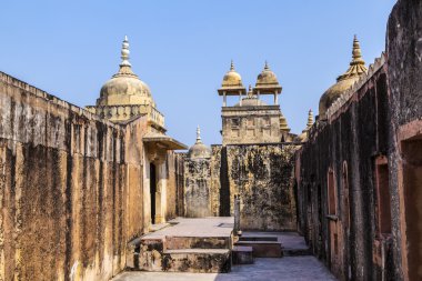 jaipur şehir Hindistan yakınındaki güzel amber fort
