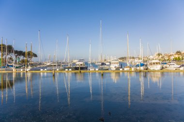 güzel havalarda gemiler ile san Francisco Marina