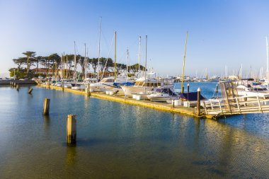 güzel havalarda gemiler ile san Francisco Marina